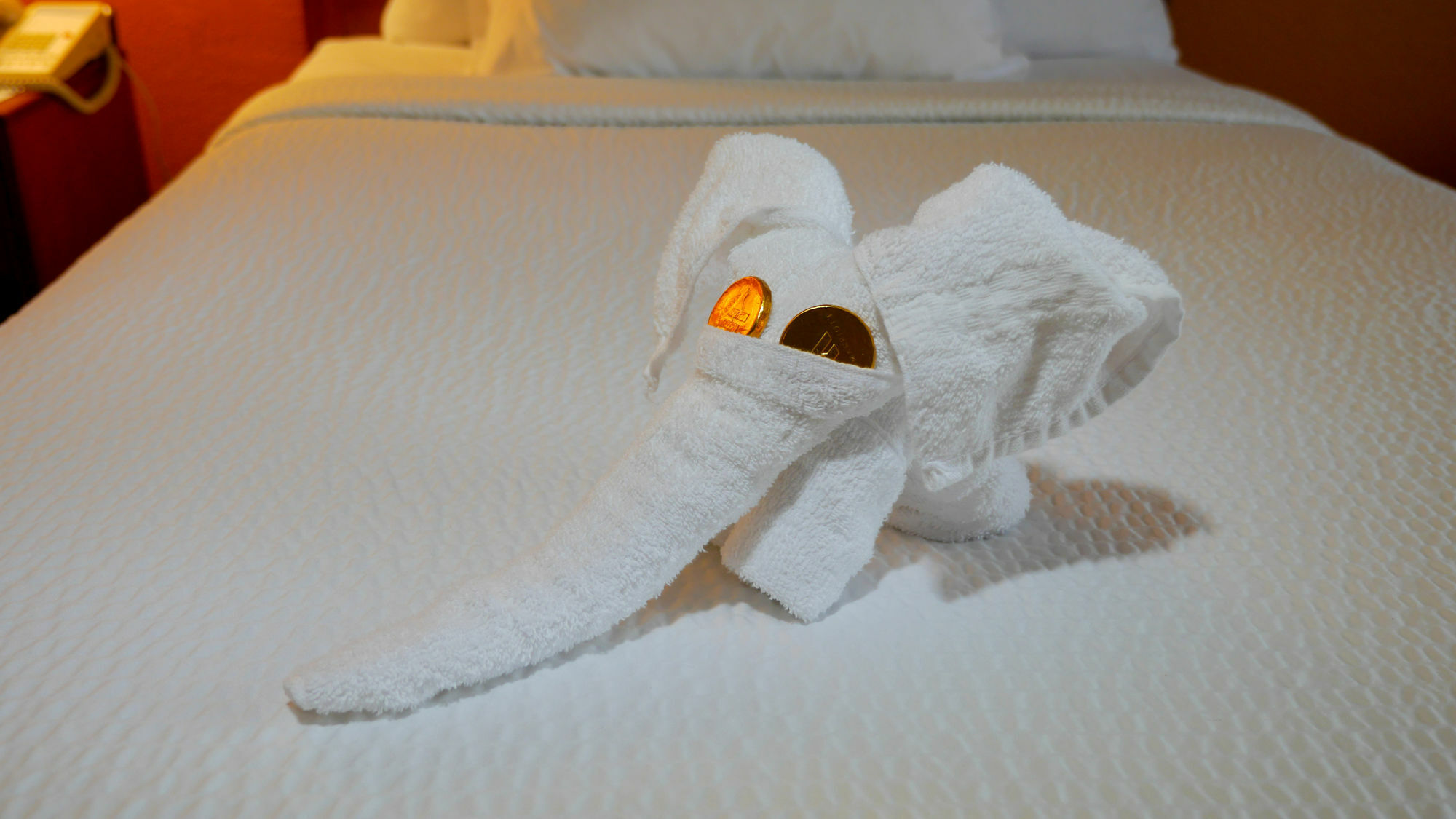 Quality Inn Fayetteville Near Fort Bragg Ngoại thất bức ảnh